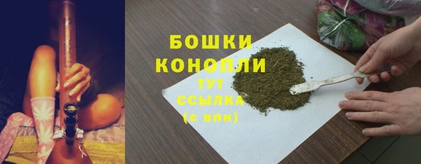 гидра Магас