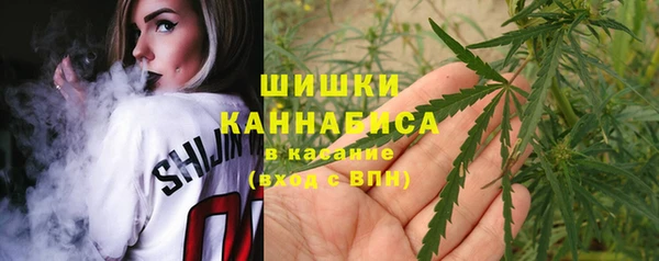 гидра Магас